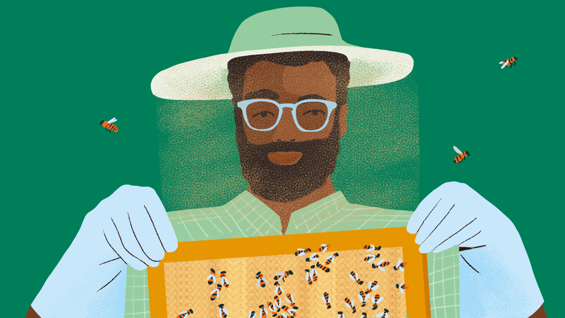 Meta Illustration System